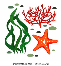 A set of marine elements - algae, corals and starfish in a flat style. Vector illustration