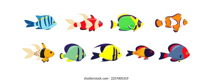 Set of marine exotic fishes on a white background. Collection Aquarium vector fish isolates. Sea fish. Vector illustration.