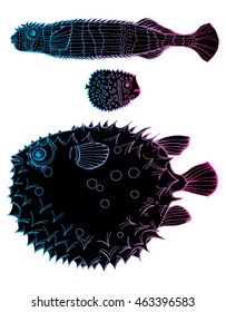 Set of marine fish. puffer fish. Barbed fish. Line art. Black and white drawing by hand. Doodle. Tattoo.