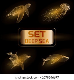 Set marine gold animals. Vector illustration. The whale,  dolphin, jellyfish, turtle consist of lines.Digital elements design  for business cards, invitations, gift cards, flyers and brochures, web.