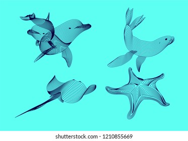 Set marine graphic animals. Vector illustration. The starfish,seal,  dolphin, cramp consist of lines.Digital elements design  for business cards, invitations, gift cards, flyers and brochures, web.