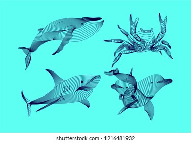 Set marine graphic animals. Vector illustration. The crab,  shark, whale,  dolphin consist of lines.Digital elements design  for business cards, invitations, gift cards, flyers and brochures, web.