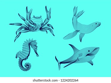 Set marine graphic animals. Vector illustration. The crab,  shark, sea horse, seal  consist of lines.Digital elements design  for business cards, invitations, gift cards, flyers and brochures, web.