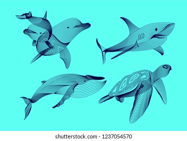 Set marine graphic animals. Vector illustration. The shark, whale,  dolphin, turtle consist of lines.Digital elements design  for business cards, invitations, gift cards, flyers and brochures, web.