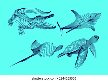Set marine graphic animals. Vector illustration. The shark, crocodile, turtle, cramp consist of lines.Digital elements design  for business cards, invitations, gift cards, flyers and brochures, web.