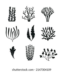 A set of marine icons, including various algae, seaweed, corals, twigs, natural elements