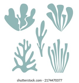 A set of marine icons, including various algae, seaweed, corals