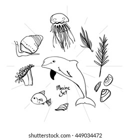 Set of marine icons. Jellyfish, fish, dolphin, snail, shell, seaweed. Cute doodle illustration. Drawn marine life.