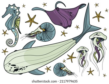 A set of marine inhabitants. Shrimp, whale, electric stingray, starfish, seahorse, jellyfish. Ocean. Vector illustration of animals. Mammals.