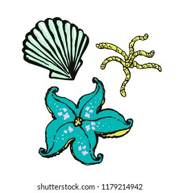 a set of marine life