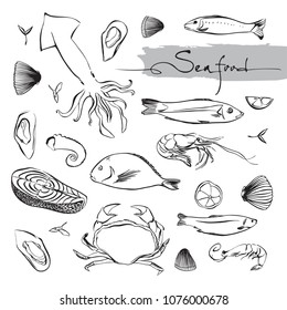 Set of marine life animals. Seafood doodle elements. Hand drawn vector illustration of fish, crab, lobster, oyster, salmon, squid, shrimp, shell, octopus, shellfish, mollusk, mussel.