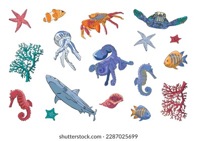 A set of marine life: fish, octopus, crab, seahorses, algae, shark, jellyfish, turtle, shell, starfish.   Collection of isolated colorful vector illustrations, hand contour drawing.