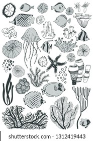 Set with marine life on white background. Vector illustration.