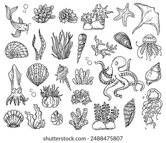 Set of marine life. Underwater inhabitants, stingray, jellyfish, octopus. Drawn algae and shells. Vector illustration