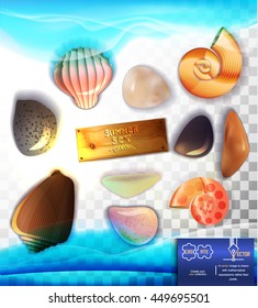 Set of marine life with waves, and stones,sea shells, and board with text on transparent background.
