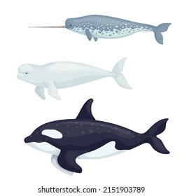 Set of marine mammals, fish. Cartoon vector graphics.