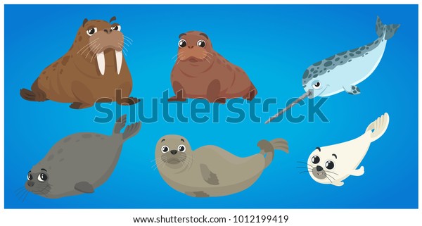 Set Of\
Marine Mammals. Ocean animals Seal, Baby Seal, Walrus, Baby Walrus,\
Narwhal. Cartoon Style Vector\
Illustration