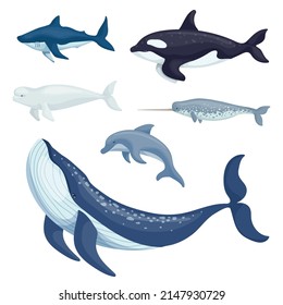 Set of marine mammals, predatory fish.Cartoon vector graphics.