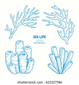 Set of marine nature elements for design. Hand drawn vintage illustration with sprigs of coral and sea sponges. 