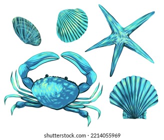 set of marine objects. seashells, crab and star ha white background. blue-green iridescent gradients. bright shiny purple seashells