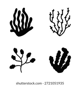 Un conjunto de plantas y animales marinos, algas y corales