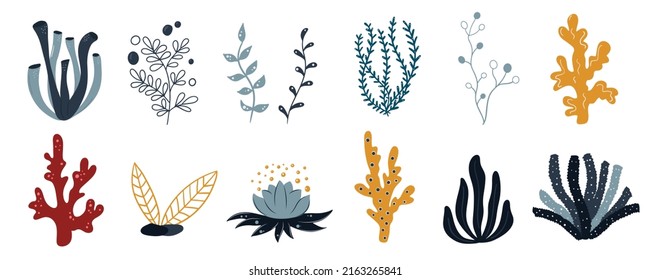 Set Marine Plants, Corals And Seaweed. Icons Of Underwater Reef Plants. Vector In Cartoon Style.