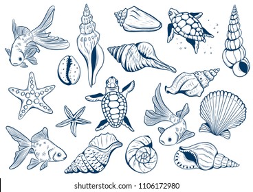 set of marine theme. Sea shells. different seashells on white background color navy peony. starfish and turtle and goldfishes. Sketch style 