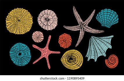 Set of marine theme. Sea shells. Different seashells,starfish on white background . Illustration Sketch style