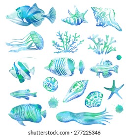 Set of marine tropical fish and seashells. Vector blue illustration. Watercolor background. Angelfish. Isolated elements for easy use.