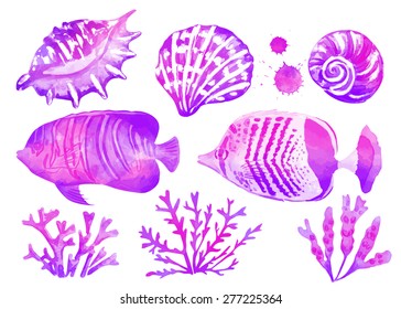 Set of marine tropical fish and seashells. Vector illustration. Watercolor background. Angelfish.
