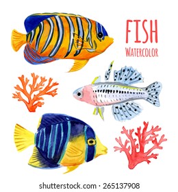 Set of marine tropical fish. Vector illustration. Watercolor background. Angelfish. 