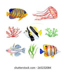 Set of marine Tropical fish. Vector illustration. Watercolor background. 