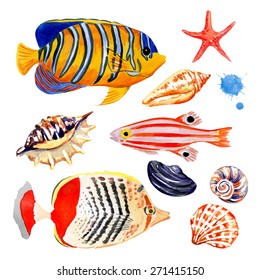 Set of marine tropical fish. Vector illustration. Watercolor background. Angelfish. 