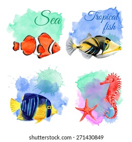 Set of marine tropical fish. Vector illustration. Watercolor sea background. Angelfish. 