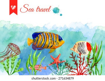 Set of marine tropical fish. Vector nautical illustration. Watercolor background. Angelfish.