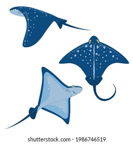 set of marine vector illustration with stingrays isolated on a white background