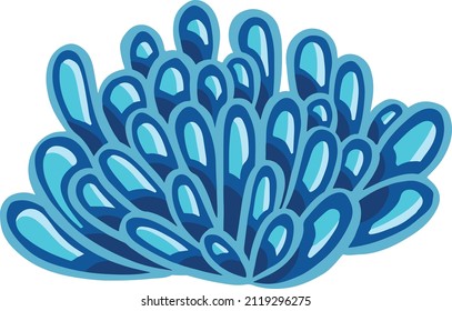 Set of marine vector plants, drawn algae