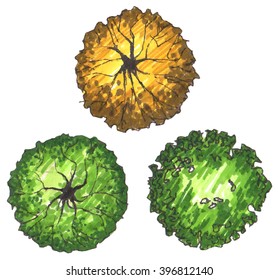 Set of marker trees, top view, vector