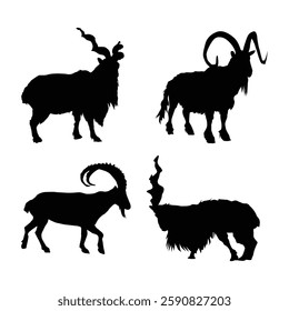 Set of ‎Bukharan markhor, ‎Kashmir markhor, ‎Astor markhor and ‎Kabul markhor black silhouettes illustration vol 03