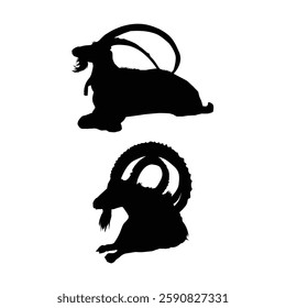 Set of ‎Bukharan markhor, ‎Kashmir markhor, ‎Astor markhor and ‎Kabul markhor black silhouettes illustration vol 04