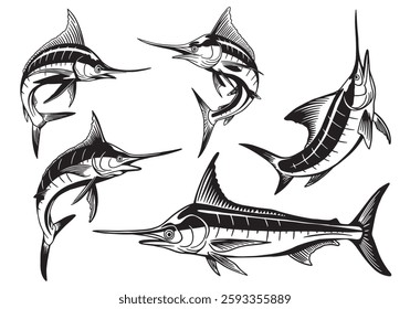 Set of marlin fish. Vector illustration on white background