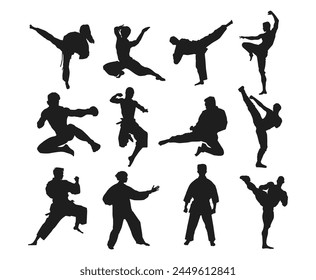 set of martial art silhouette, fighter, combat, fight pose. Vector illustration