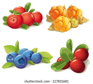 set of mature berries with the leaves