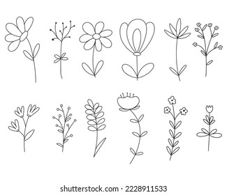 Set meadow field herbs doodle illustration. Simple outline herbal and flower plants vector collection. Botanical spring grass decoration hand drawn ink