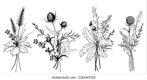 Set of meadow floral bouquets. Hand drawn black and white vector illustration.