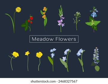 Conjunto de flores y hierbas del prado en Vector, estilo plano.