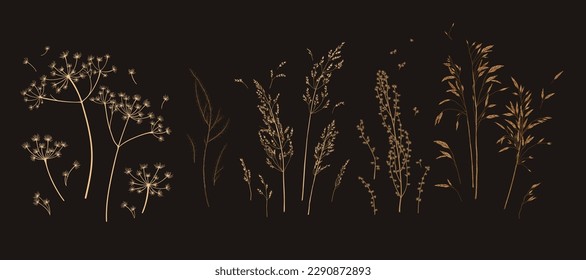 Set with meadow herbs. Botanical collection with dried plants. Dark background. Line art. Vector illustration. Colorful.