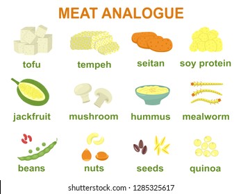 Set Of Meat Alternative Or Analogue For Vegans, Vegetarians, Healthy Eating. Food Icons Of Soy Protein, Nuts, Tofu Etc. Color Vector Illustration Isolated On White