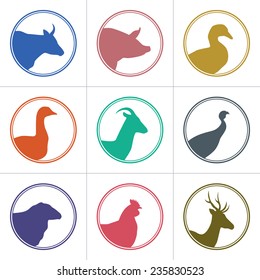 Set of meat animals icons with animals heads in profile. Vector collection made in retro style. Logos, badges and design elements