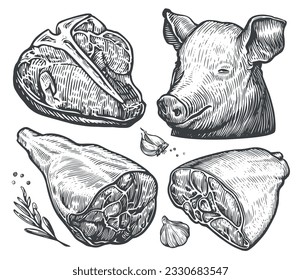 Set of meat cuts. Beef steak, ham, bacon, pig head. Farm food concept. Hand drawn sketch vector illustration